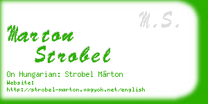marton strobel business card